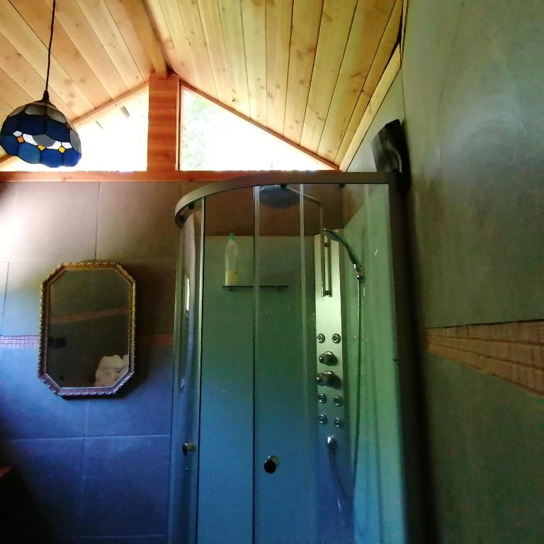 Domo Conguillío - Apartamento de 1 dormitorio - 3