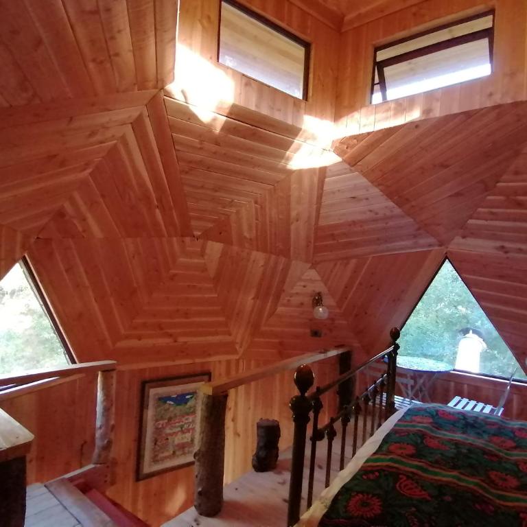 Domo Conguillío - Apartamento de 1 dormitorio - 4