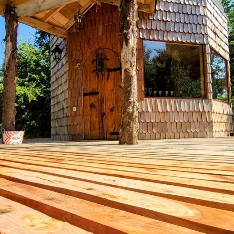 Domo Conguillío - Apartamento de 1 dormitorio - 9