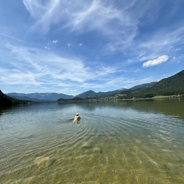 Forest Apartment Gosau - One-Bedroom Apartment - 61