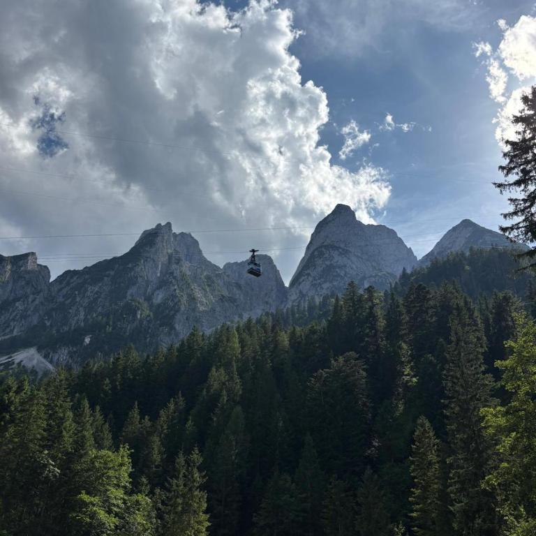 Forest Apartment Gosau - One-Bedroom Apartment - 64