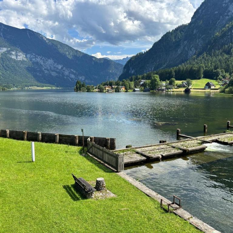Forest Apartment Gosau - One-Bedroom Apartment - 65