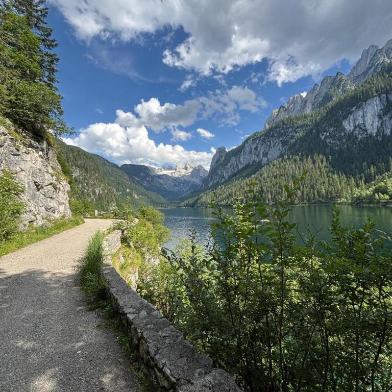 Forest Apartment Gosau - One-Bedroom Apartment - 68