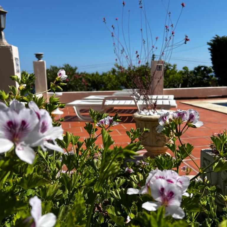 Villa Marietta, private pool villa with sea views and terrace, perfect for families and remote stays - Casa de 3 dormitorios - 40