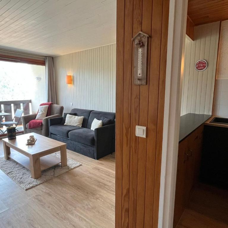 Studio Châtel 4 pers, balcon sud-ouest, parking - FR-1-198-242 - Studio - 5