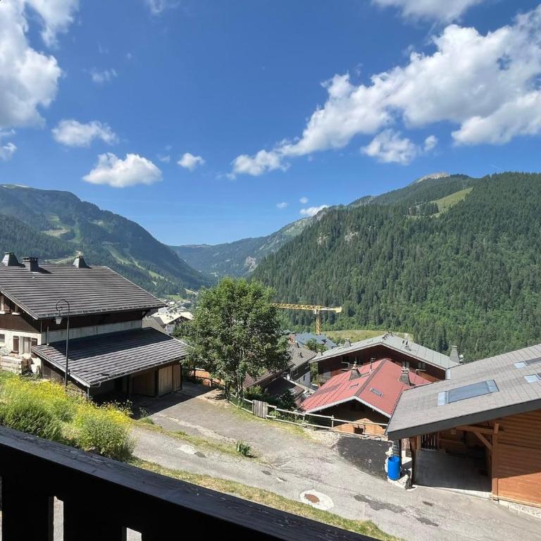 Studio Châtel 4 pers, balcon sud-ouest, parking - FR-1-198-242 - Studio - 14