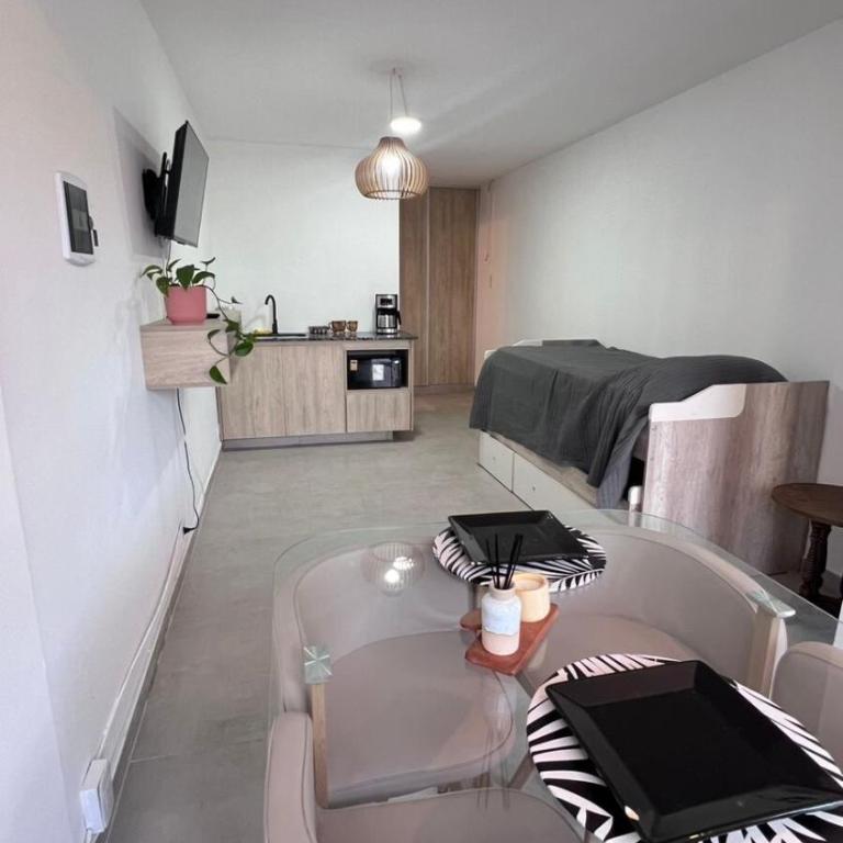 Monoambiente impecable - Apartamento de 1 dormitorio - 1