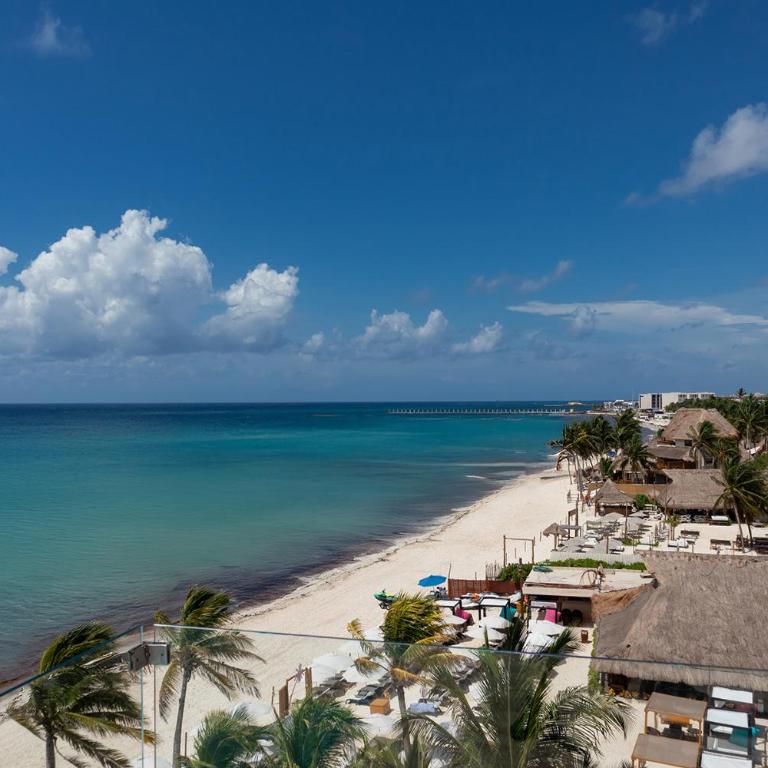 It Beach Condo - Ocean View 2 BR Apartment with Private Pool and Terrace - 5