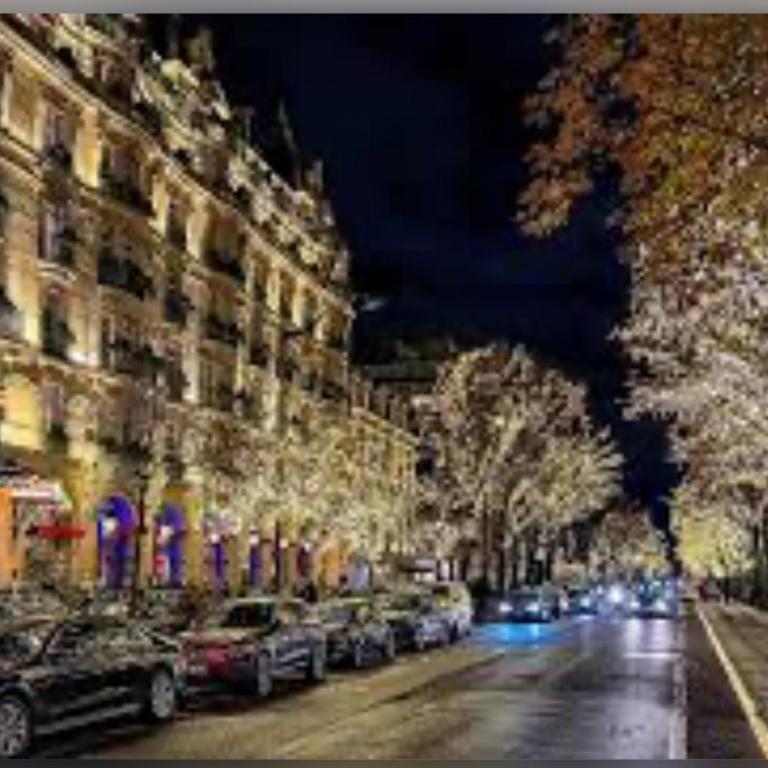 Champs-Élysées Montaigne luxe - One-Bedroom Apartment - 17