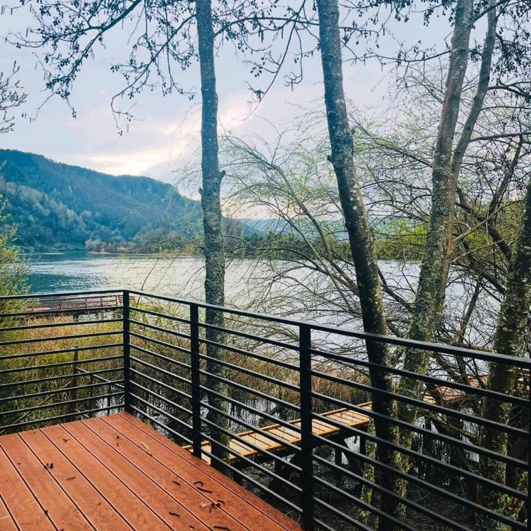 Tiny house río Calle Calle - One-Bedroom House - 21