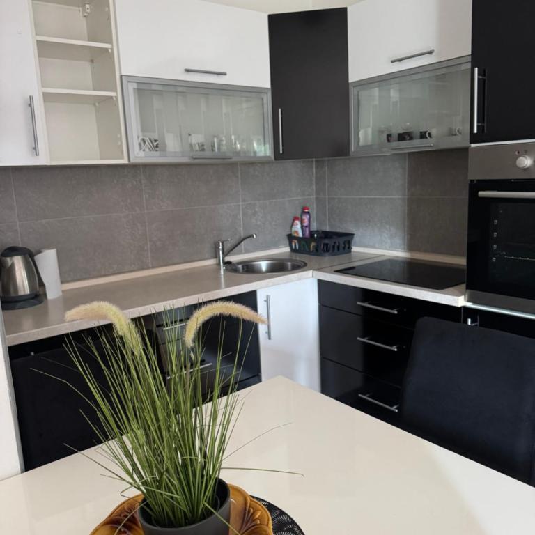 Apartman DIJANA - Apartman sa 1 Spavaćom Sobom - 14