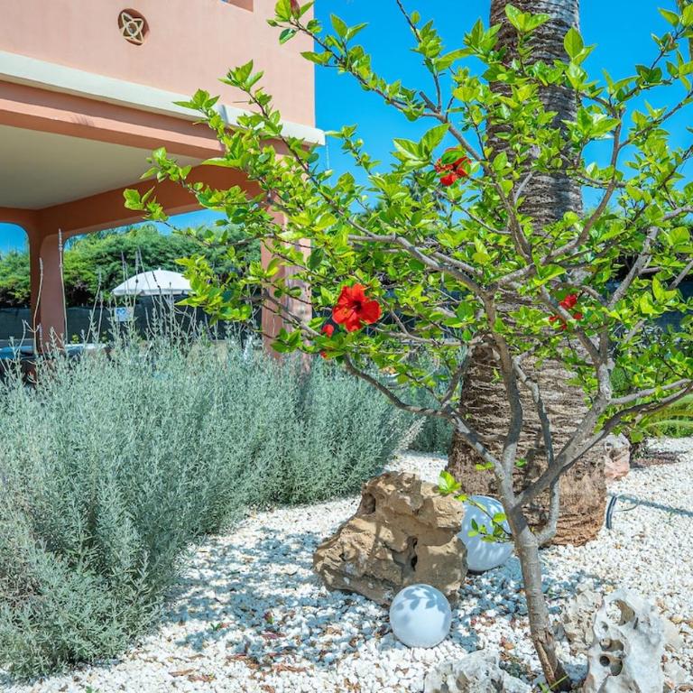 Pina'Mmari - Villa con 3 Camere da Letto - 28