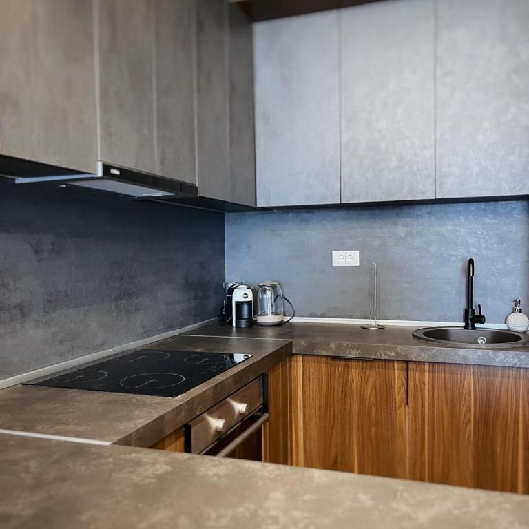 Apartman Bulevar - Apartman sa 1 Spavaćom Sobom - 3