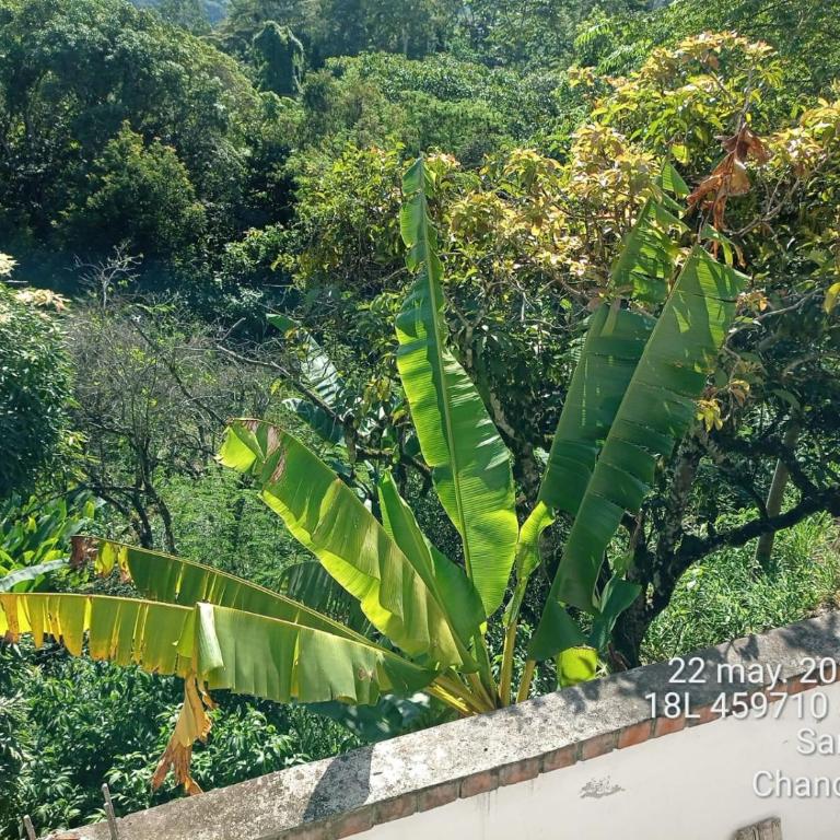 Hotel VIRREY - Habitación Familiar - 1