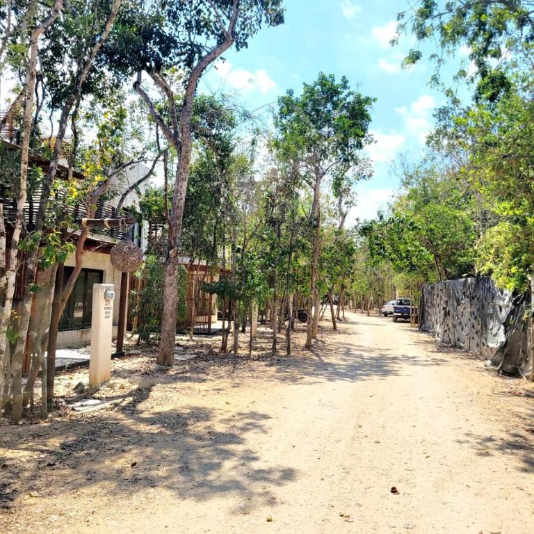 Condo de ensueño con cenote privado - Apartamento de 2 dormitorios - 23