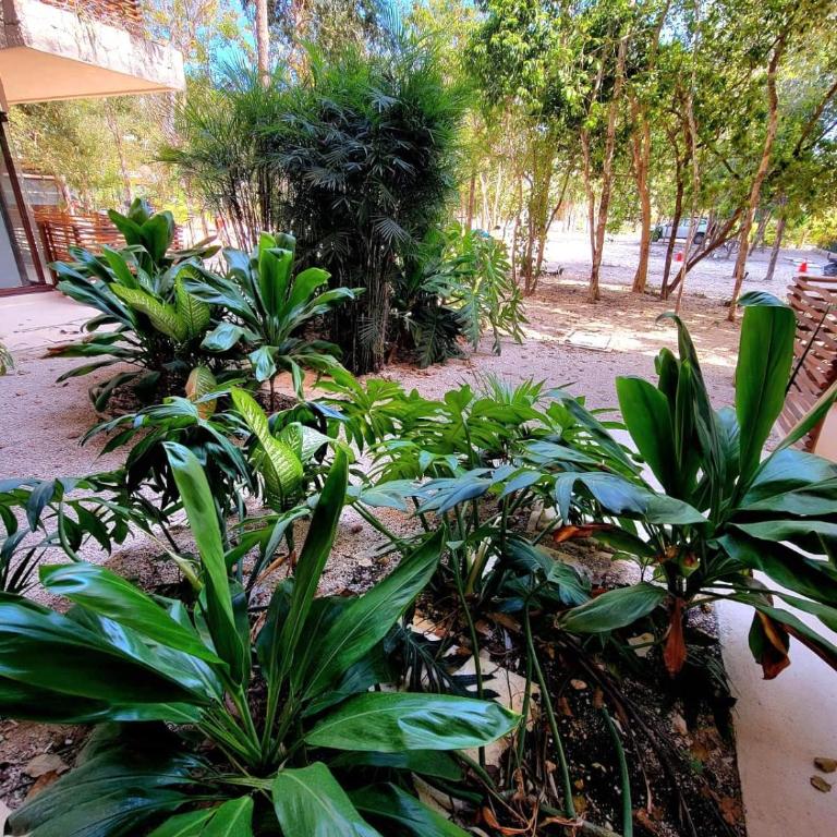 Condo de ensueño con cenote privado - Apartamento de 2 dormitorios - 25