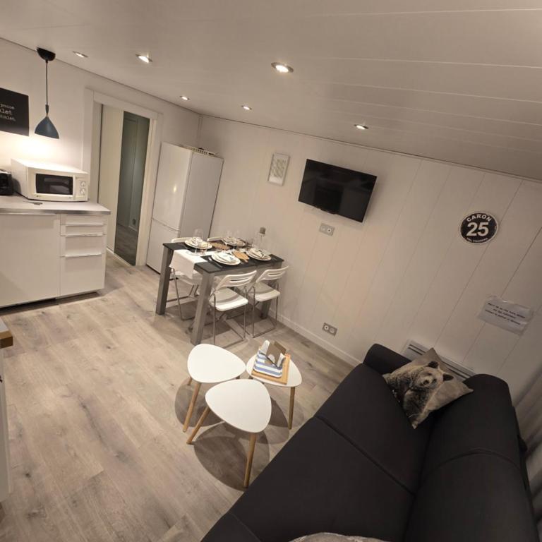 Le Francine -VAL THORENS -APPARTEMENT MAXI 6 PERSONNES -50 M PIED DES PISTES - Apartamento de 2 dormitorios - 21
