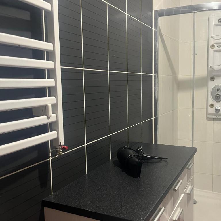 Tik-tak City center PREMIUM - Apartman sa 1 Spavaćom Sobom - 18