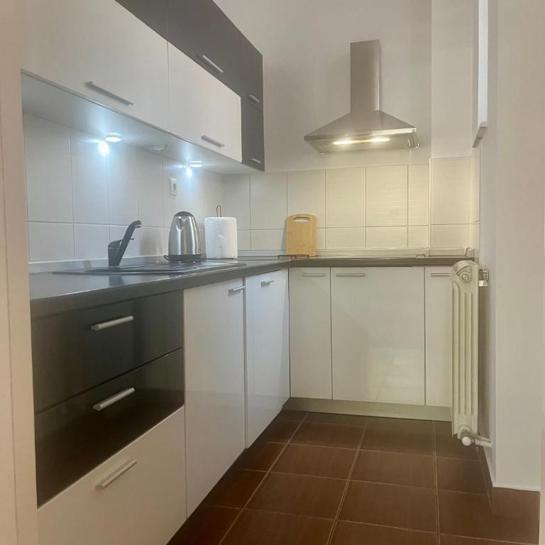 Tik-tak City center PREMIUM - Apartman sa 1 Spavaćom Sobom - 14