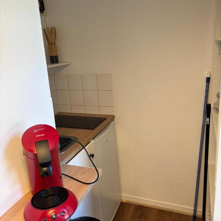Le Cocon des Géants - One-Bedroom Apartment - 4