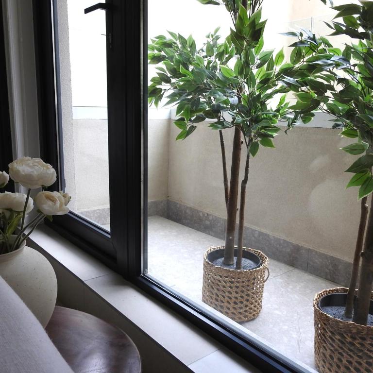Cozy and relax Apartment - One-Bedroom Apartment - 8