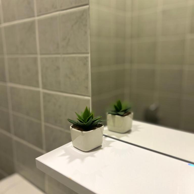 Beautiful One-Bedroom Deluxe Apartment - Porodični Apartman s 1 Spavaćom Sobom - 87