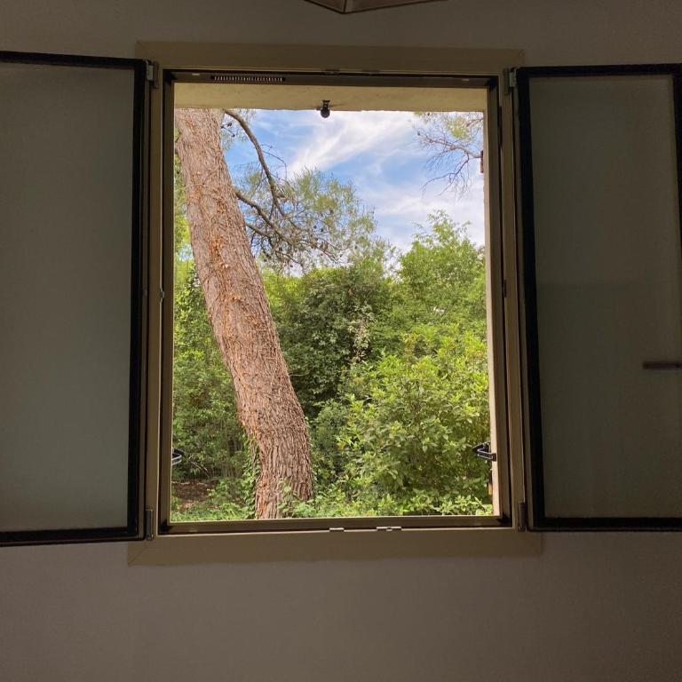 Villa 10 mins a pieds du centre de L Isle sur la Sorgue - Four-Bedroom Vacation Home - 24