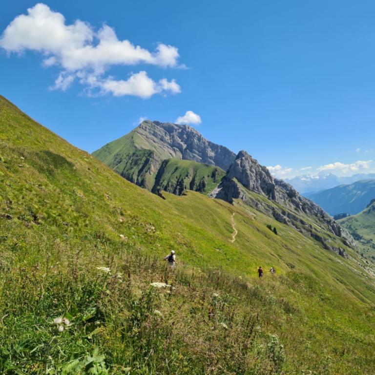 Appartement neuf, grand balcon et vue imprenable - Apartment mit Blick auf die Berge - 25