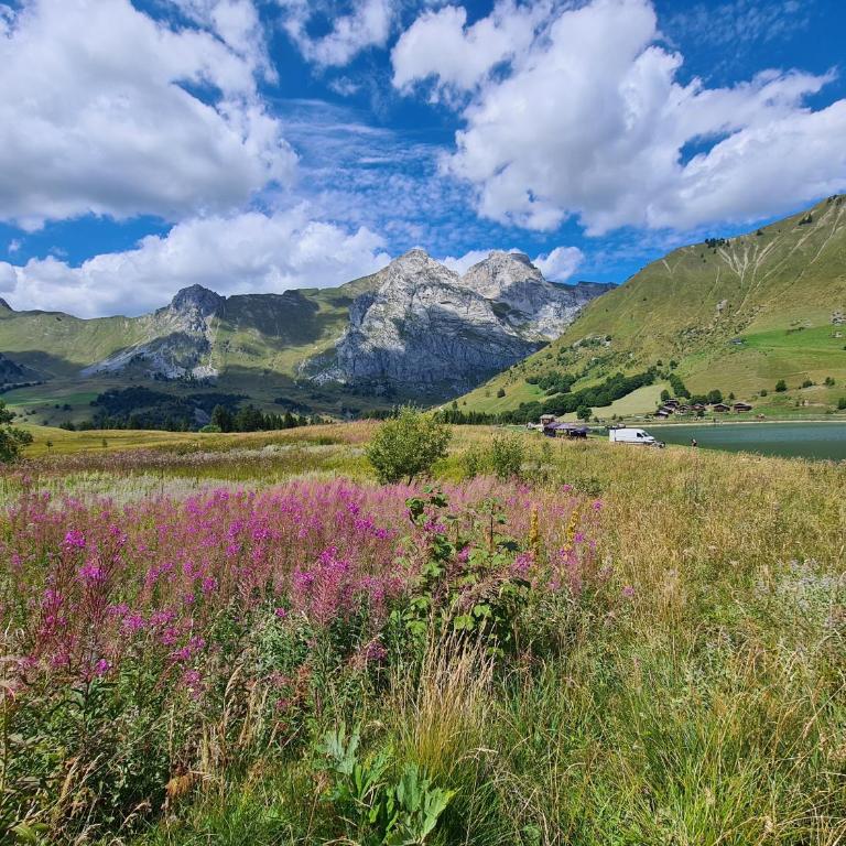 Appartement neuf, grand balcon et vue imprenable - Apartment mit Blick auf die Berge - 26