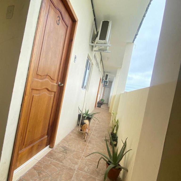 Habitaciones Guadalupe - Apartamento de 3 dormitorios - 4