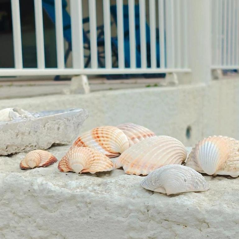 Appartement les pieds dans l'eau - Apartment mit 3 Schlafzimmern - 21