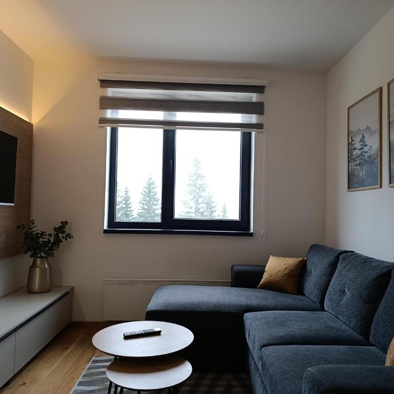 Apartmani Stella Jahorina - Apartment with Mountain View - 20