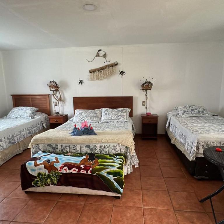 Hostal Harepakoba - Habitación Triple con baño privado - 8