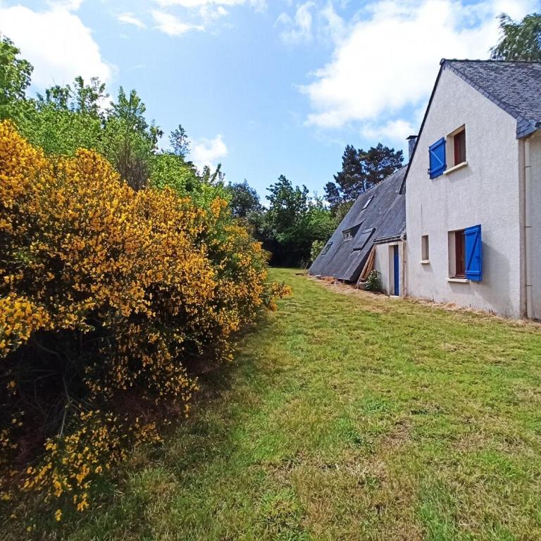 Maison avec grand terrain à 2 pas de la mer - Maison 4 Chambres - 4