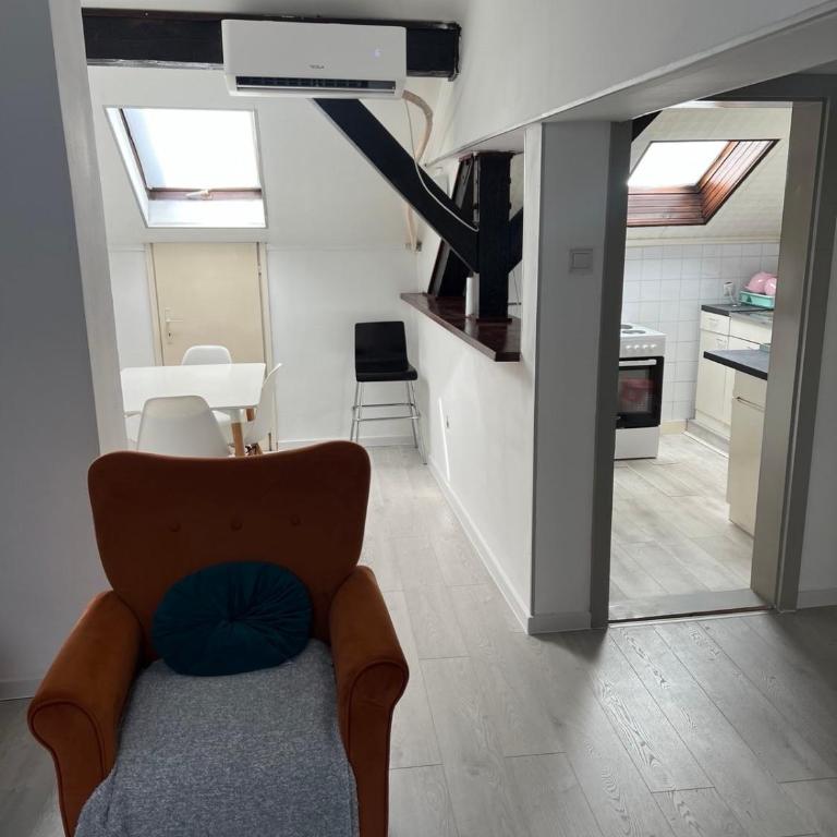 Downtown Nest Podgorica - Apartman sa 1 Spavaćom Sobom - 3