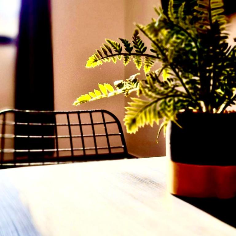 Amar 2 - One-Bedroom Apartment - 8