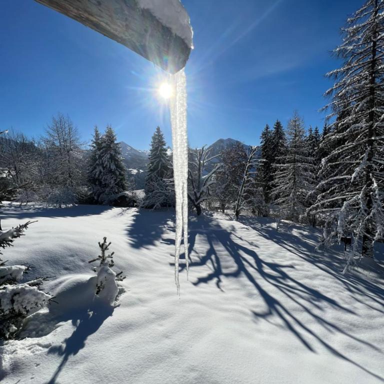 Chalet des Hautes Côtes - Chalet Supérieur - 13