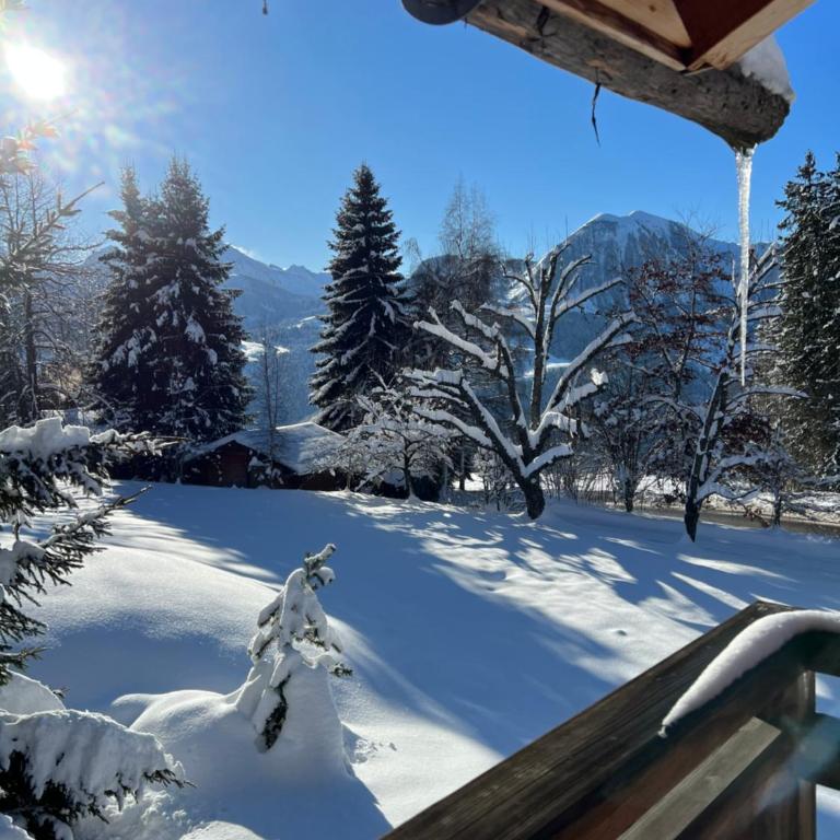 Chalet des Hautes Côtes - Chalet Supérieur - 17