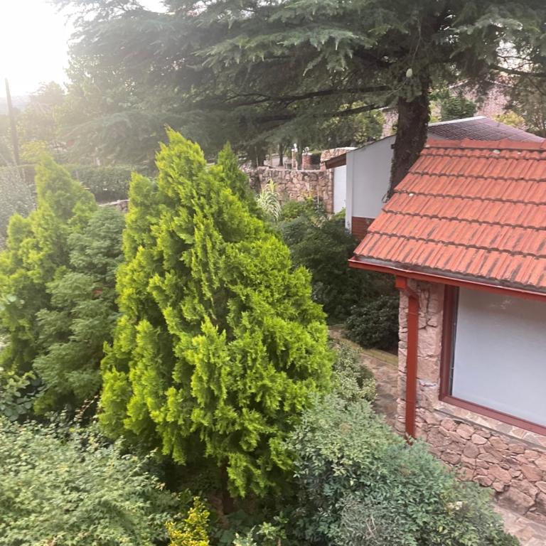 Ashram Asociación Argentina de Yoga - Casa con 1 dormitorio - 2