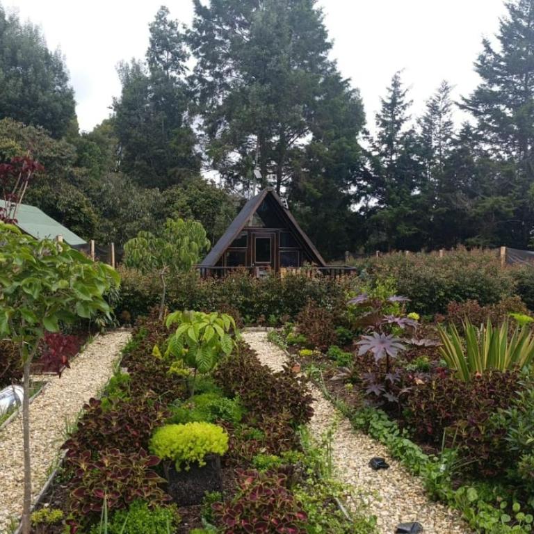 Alojamiento Rionegro aeropuerto - Habitación Individual Estándar con vistas a la montaña - 2