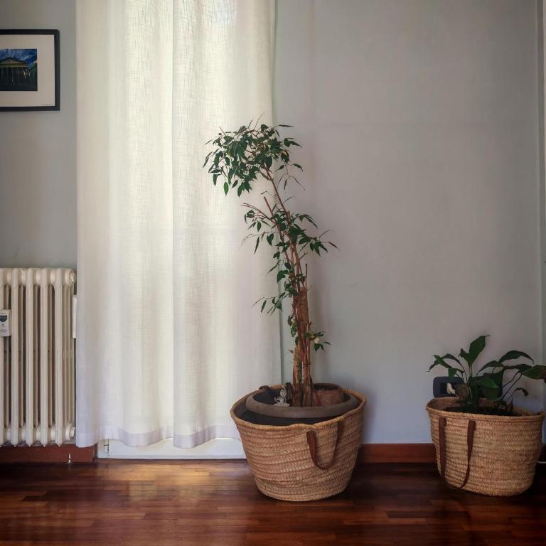 casa Gesi - Appartamento con 2 Camere da Letto - 3