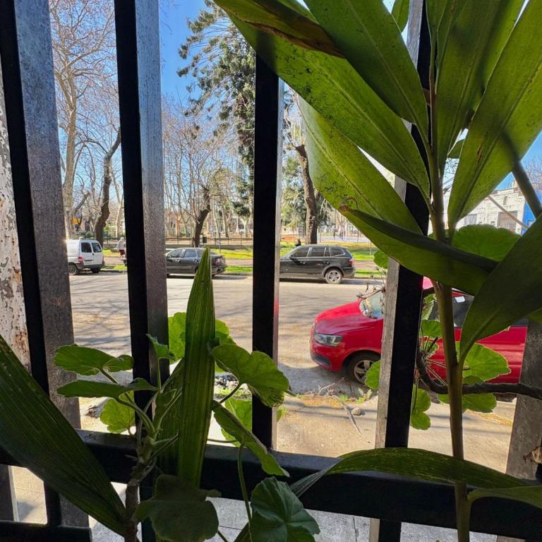 Loft bohemio en La Boca - Apartamento de 1 dormitorio - 7