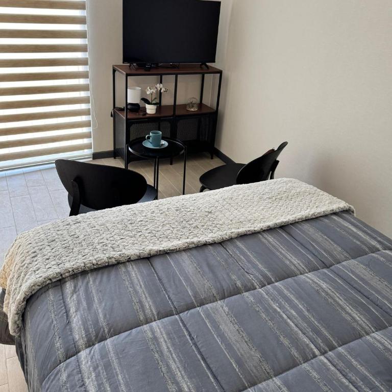 Céntrico departamento en Santiago - Apartamento de 1 dormitorio - 2