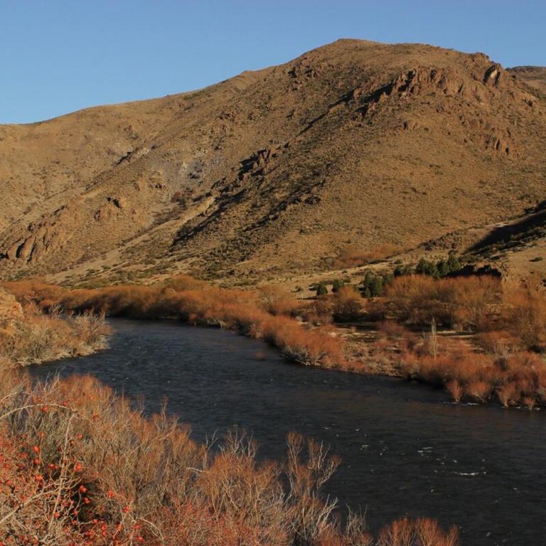 Casa de campo en Pilolil Sobre el Río alumine - Two-Bedroom House - 5