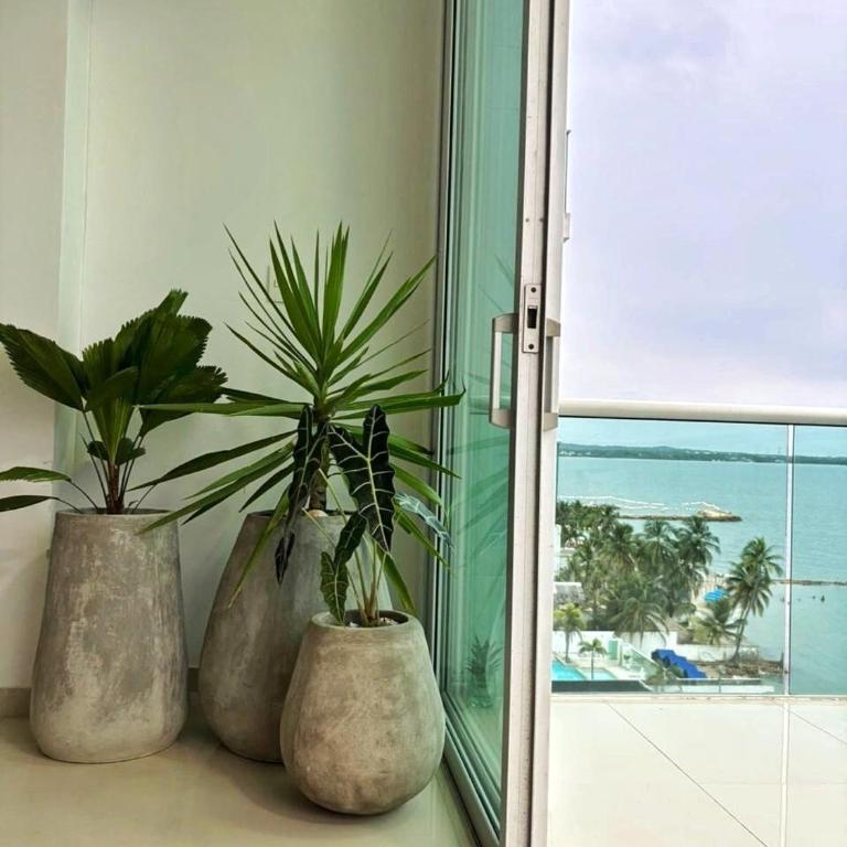 Apartamento con vistas al Mar caribe - Apartamento con 4 dormitorios - 7