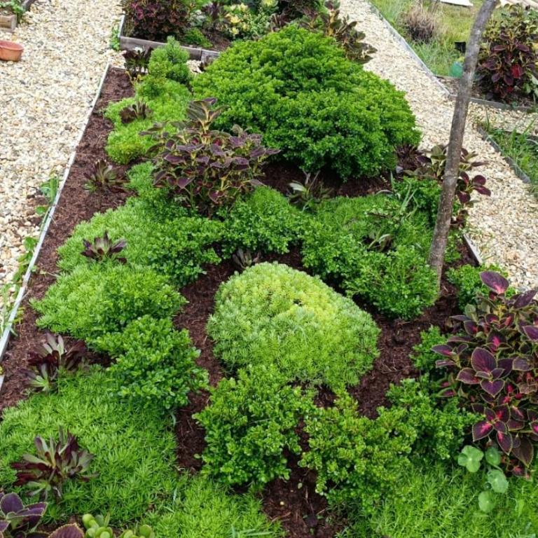 Alojamiento Rionegro aeropuerto - Habitación Individual Estándar con vistas a la montaña - 3