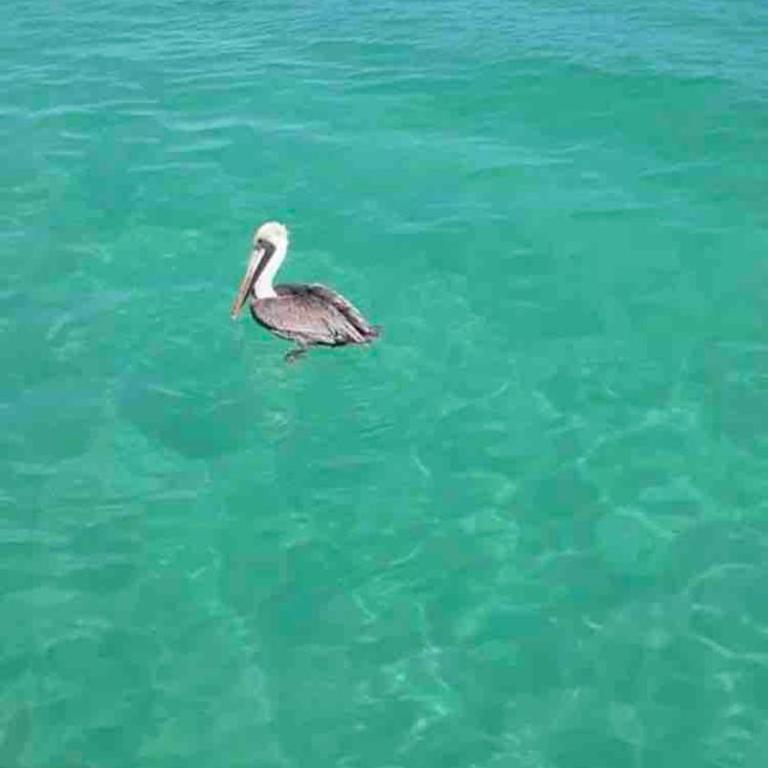2 bed 2 bath condo, steps from the beach - Two-Bedroom Apartment - 14