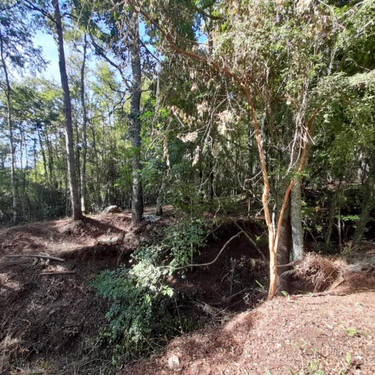 collico lodge kilometro 4 relun - Casa Vacacional de 3 dormitorios - 52