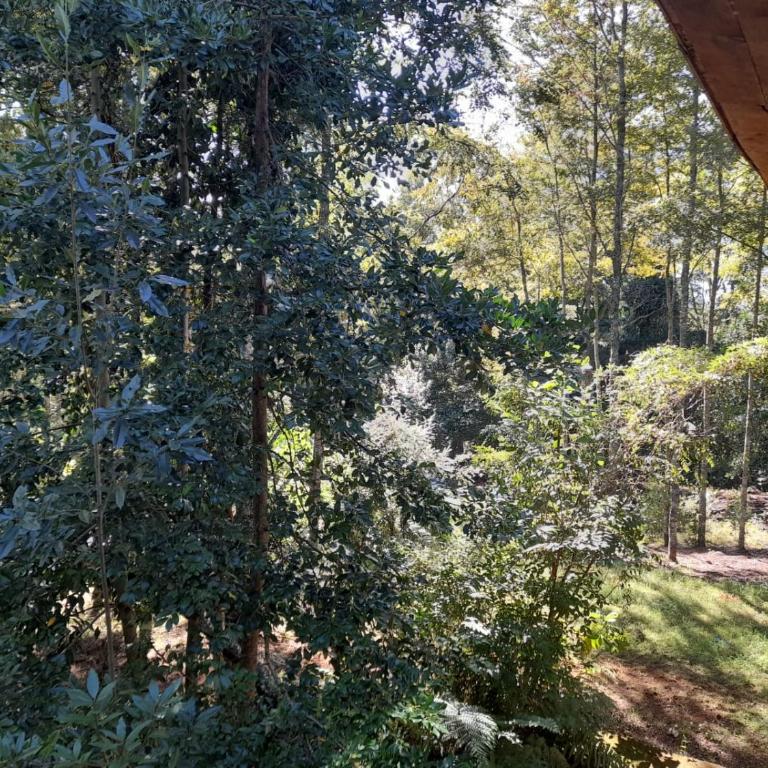 collico lodge kilometro 4 relun - Casa Vacacional de 3 dormitorios - 19