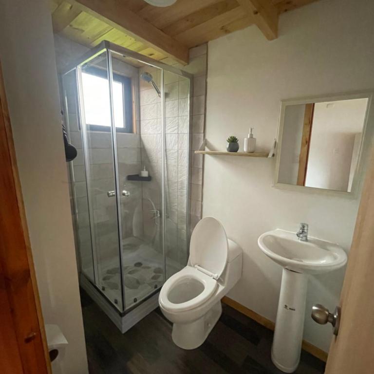 Luz de Luna Antilhue - Habitación Doble Deluxe con balcón - 16